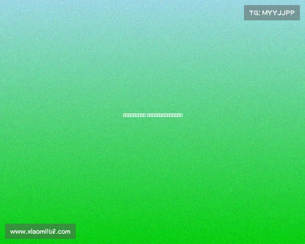 曼城季前训练已启幕 球员体能分配成新赛季关键挑战